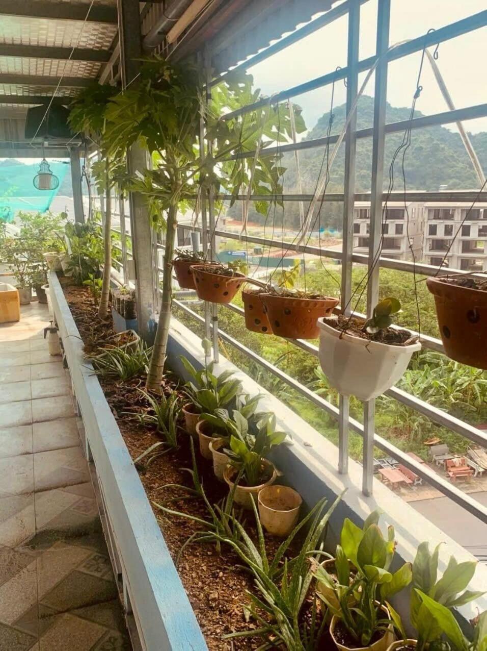 Thu Thuy Hotel Chan Chau Dış mekan fotoğraf